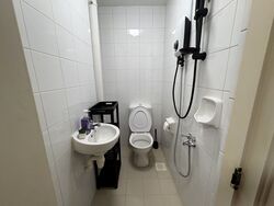 The Blossomvale (D21), Condominium #598787081